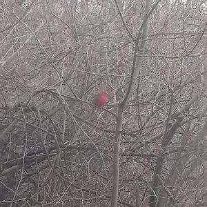 Meet your Posher, Jerome